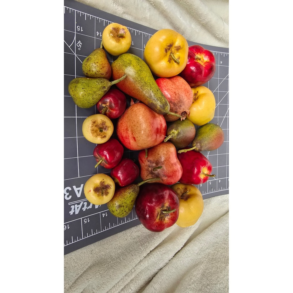 Vintage Realistic Artificial Fruit Lot Apples Pears Pomegranate Decor 18pc